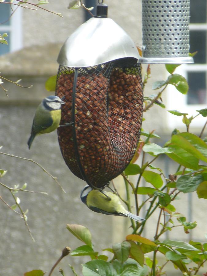 The Kenmore Guest House Llandudno Esterno foto